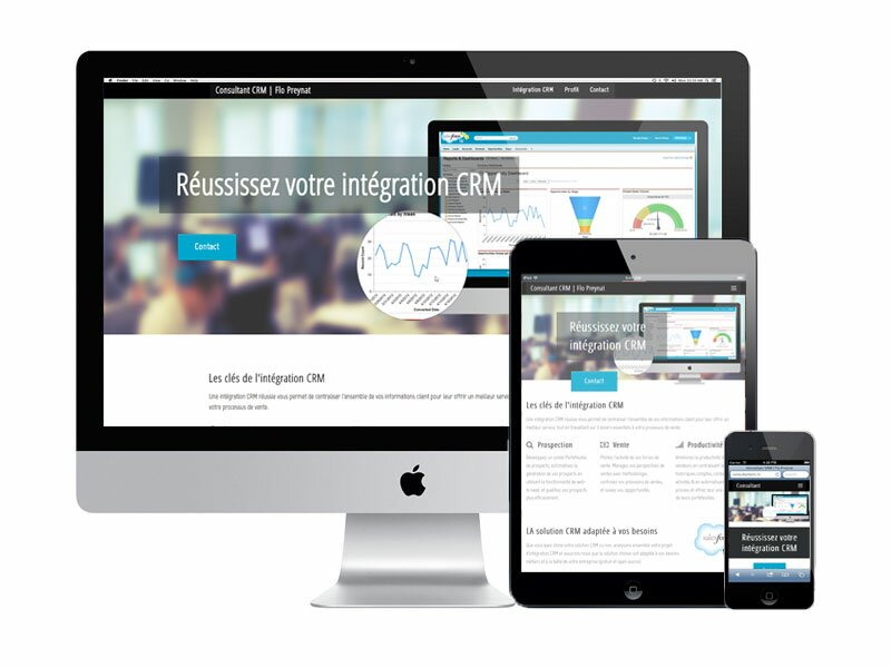 Consultant CRM
